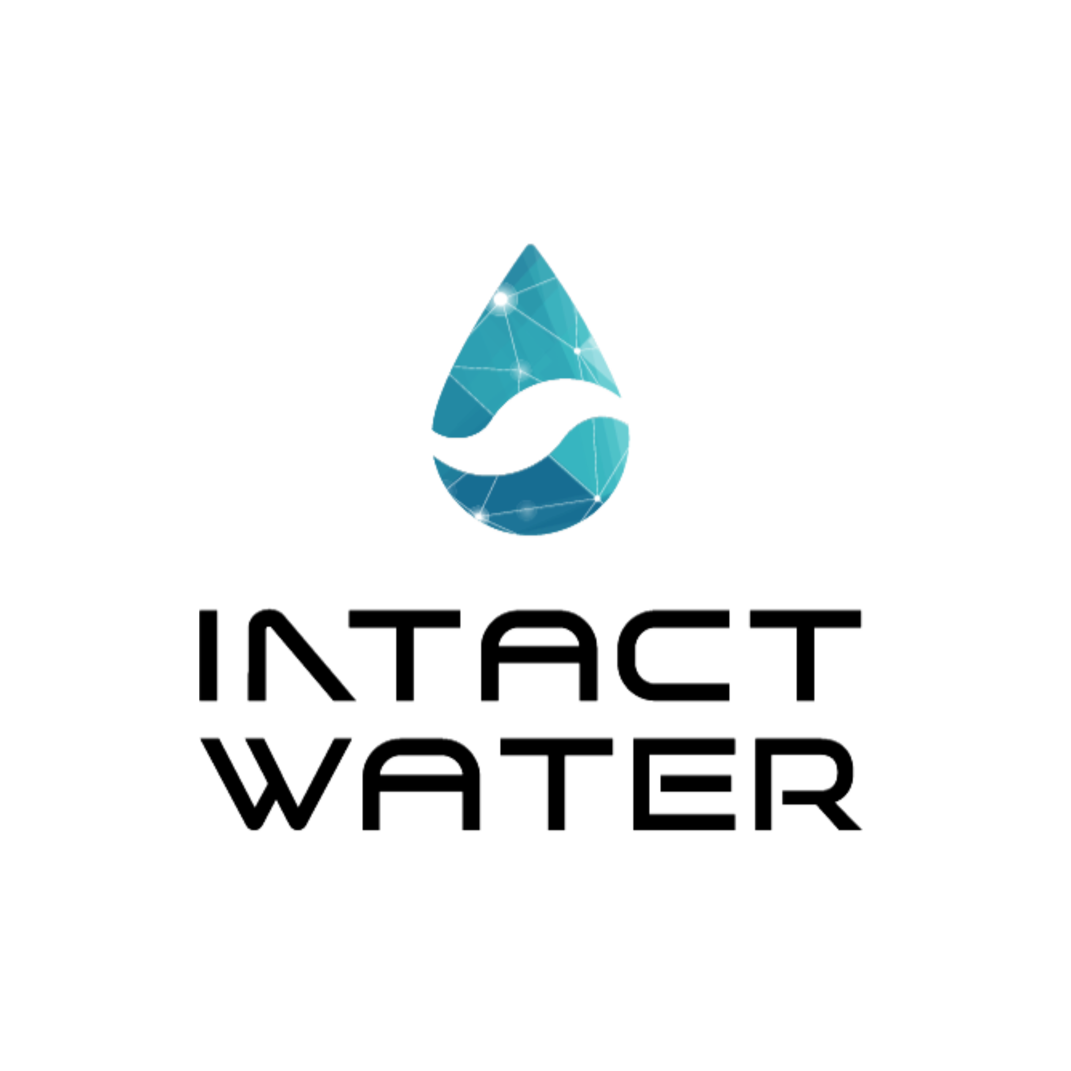 Intact Water logo